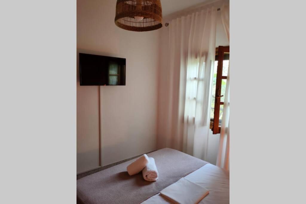 Olivia'S Guest House 霍里顿 外观 照片